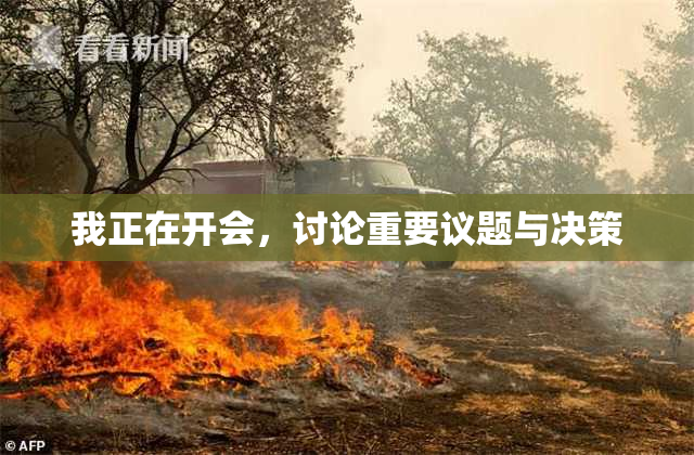 我正在开会，讨论重要议题与决策