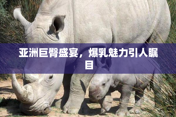 亚洲巨臀盛宴，爆乳魅力引人瞩目