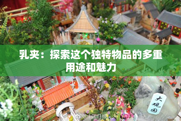 乳夹：探索这个独特物品的多重用途和魅力