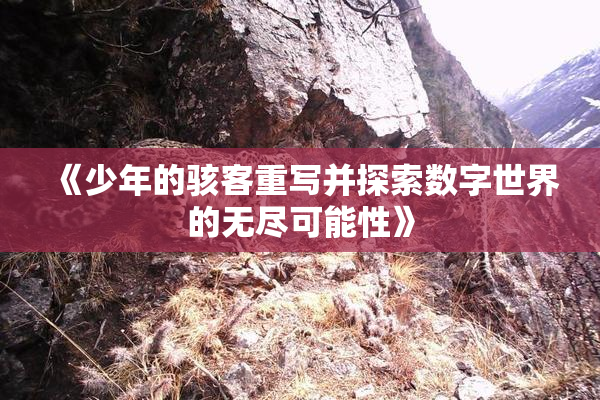 《少年的骇客重写并探索数字世界的无尽可能性》