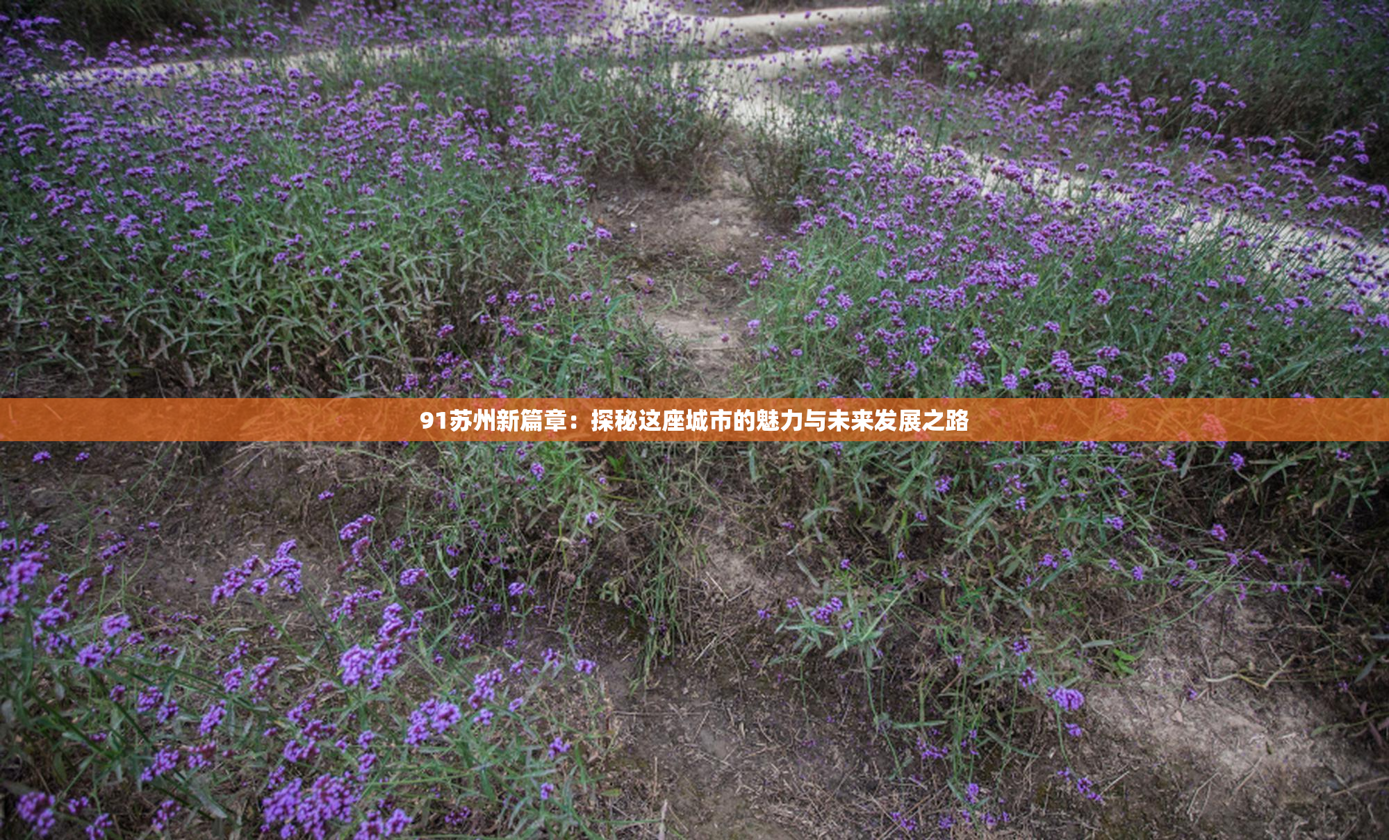 91苏州新篇章：探秘这座城市的魅力与未来发展之路