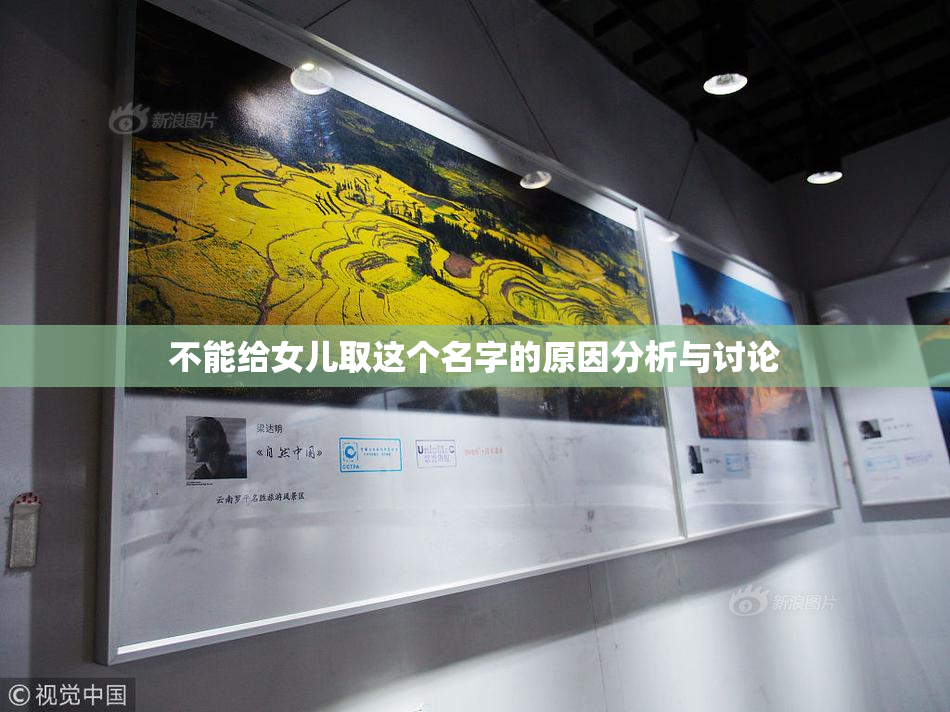 不能给女儿取这个名字的原因分析与讨论