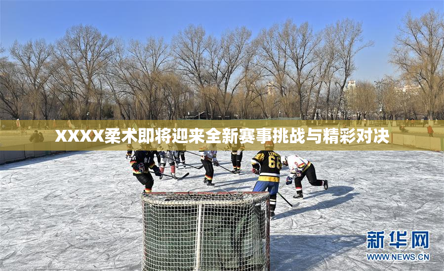 XXXX柔术即将迎来全新赛事挑战与精彩对决