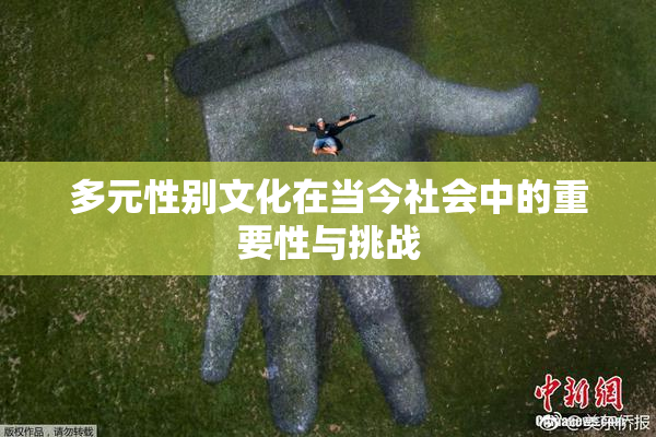 多元性别文化在当今社会中的重要性与挑战