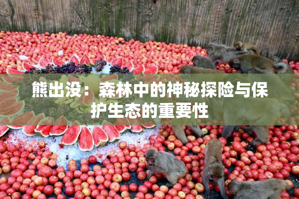 熊出没：森林中的神秘探险与保护生态的重要性