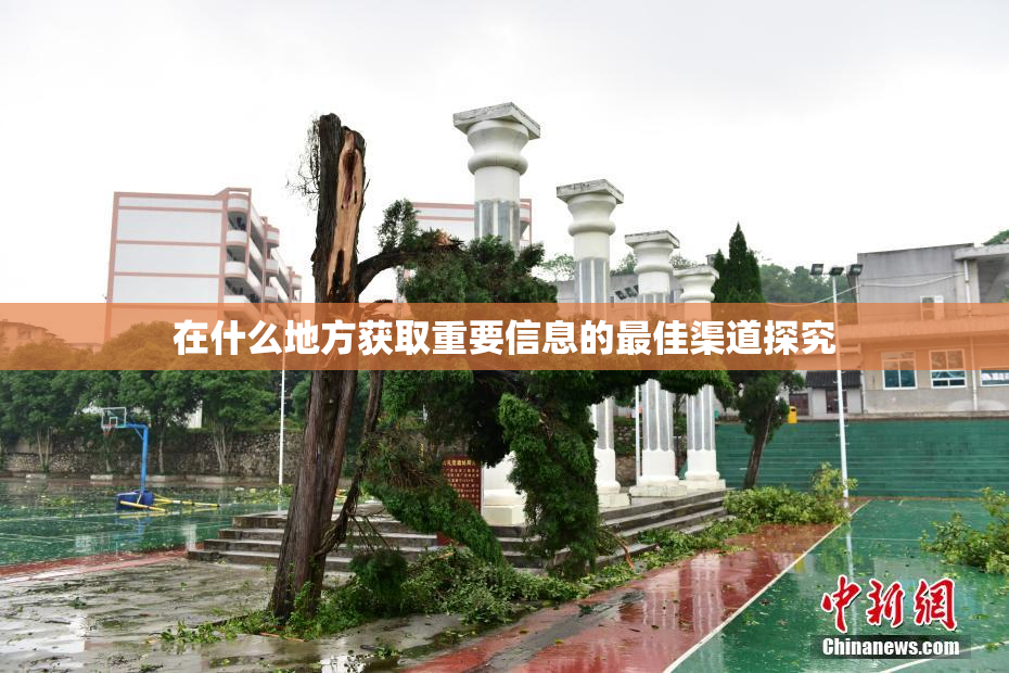 在什么地方获取重要信息的最佳渠道探究