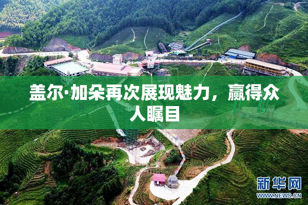 盖尔·加朵再次展现魅力，赢得众人瞩目