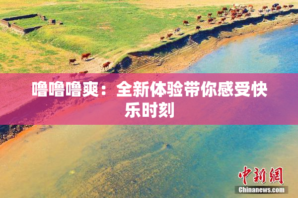 噜噜噜爽：全新体验带你感受快乐时刻