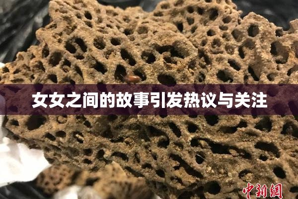 女女之间的故事引发热议与关注