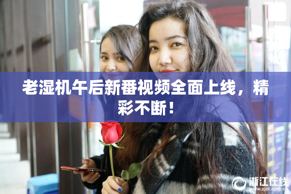 老湿机午后新番视频全面上线，精彩不断！