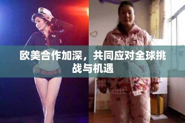 欧美合作加深，共同应对全球挑战与机遇