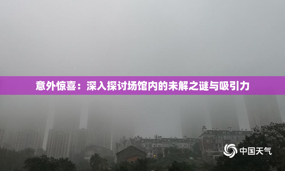 意外惊喜：深入探讨场馆内的未解之谜与吸引力