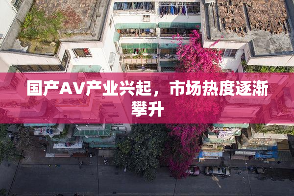国产AV产业兴起，市场热度逐渐攀升