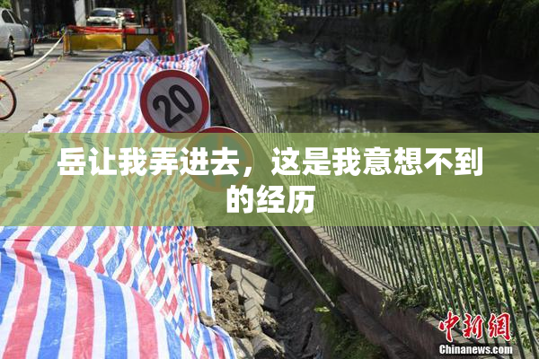 岳让我弄进去，这是我意想不到的经历