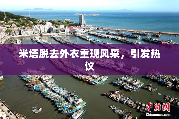 米塔脱去外衣重现风采，引发热议