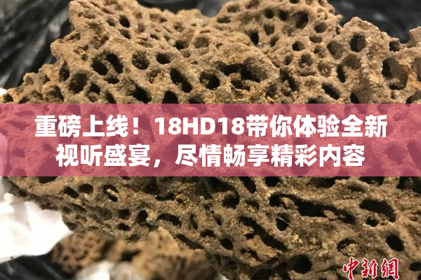 重磅上线！18HD18带你体验全新视听盛宴，尽情畅享精彩内容