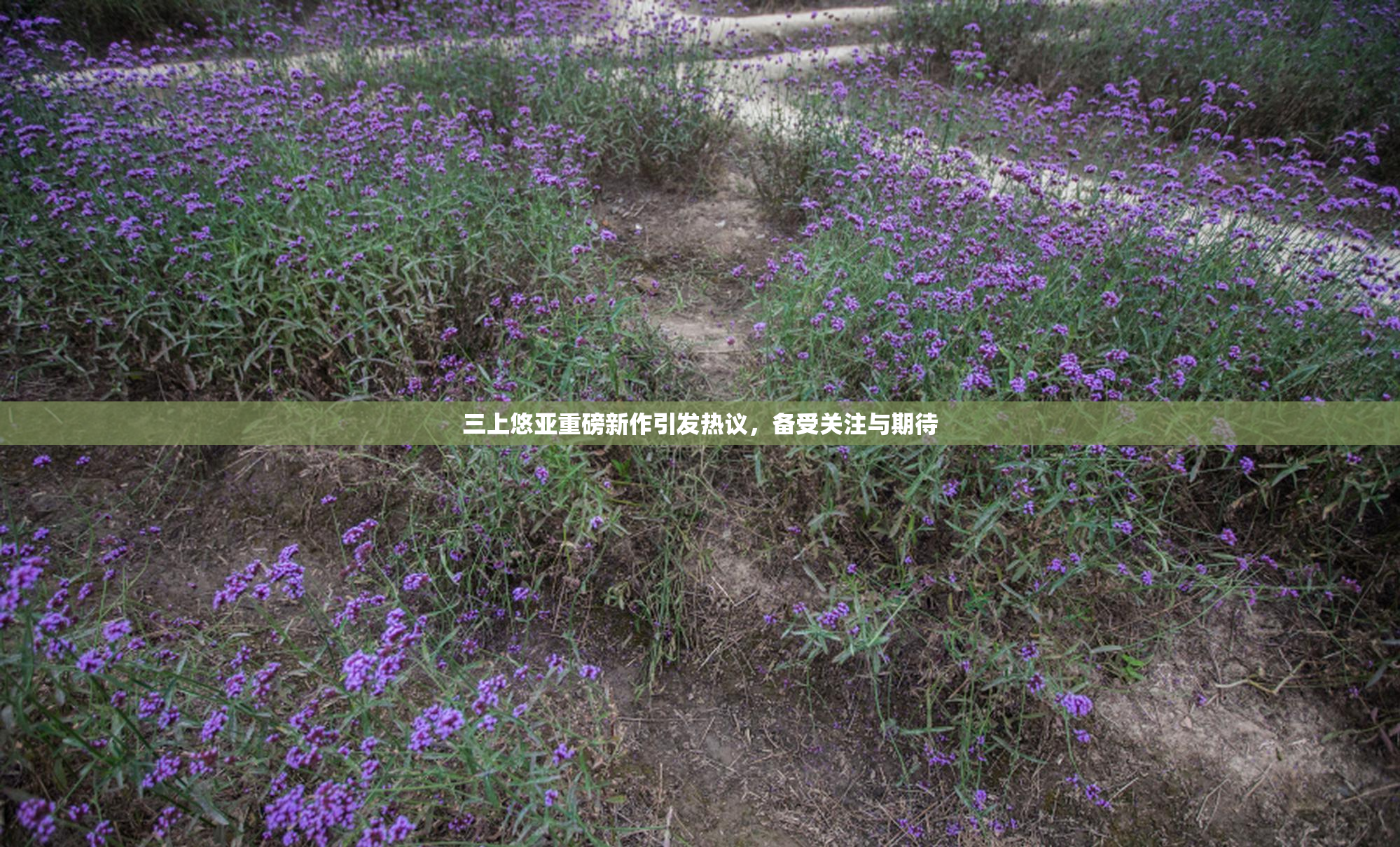 三上悠亚重磅新作引发热议，备受关注与期待
