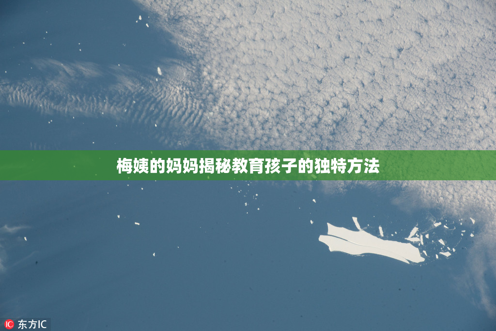 梅姨的妈妈揭秘教育孩子的独特方法