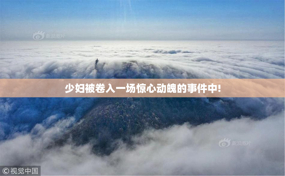少妇被卷入一场惊心动魄的事件中!