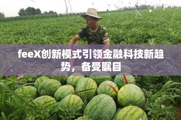 feeX创新模式引领金融科技新趋势，备受瞩目