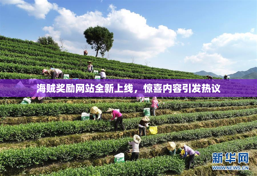 海贼奖励网站全新上线，惊喜内容引发热议