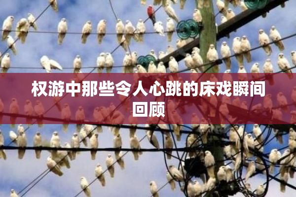 权游中那些令人心跳的床戏瞬间回顾