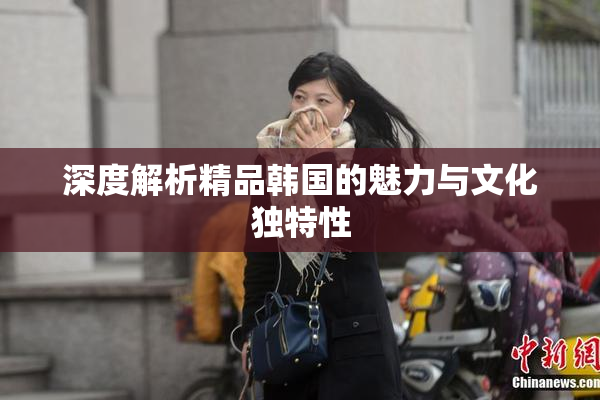 深度解析精品韩国的魅力与文化独特性