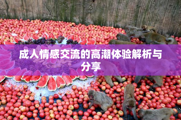 成人情感交流的高潮体验解析与分享