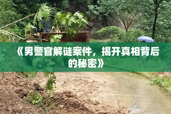 《男警官解谜案件，揭开真相背后的秘密》