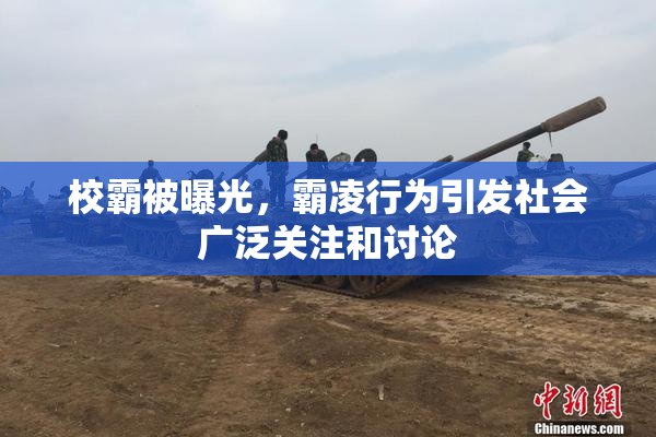 校霸被曝光，霸凌行为引发社会广泛关注和讨论