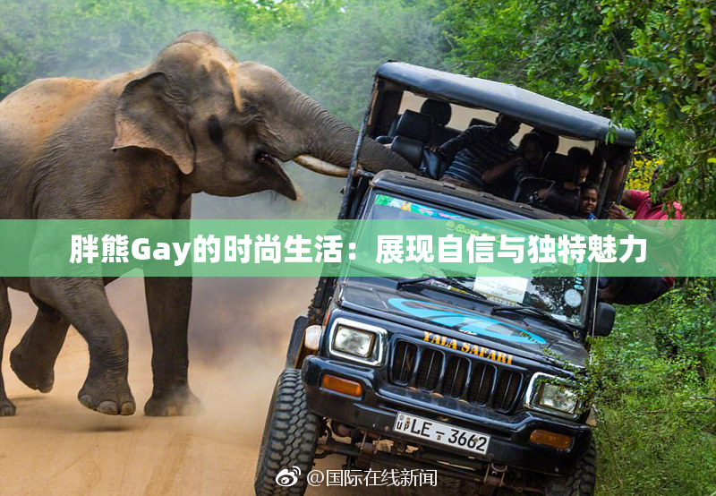 胖熊Gay的时尚生活：展现自信与独特魅力