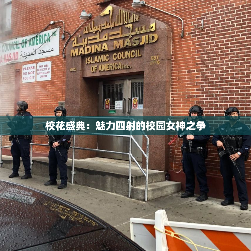 校花盛典：魅力四射的校园女神之争