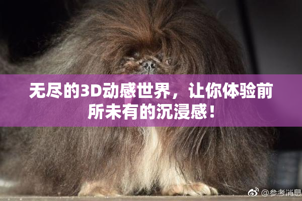 无尽的3D动感世界，让你体验前所未有的沉浸感！
