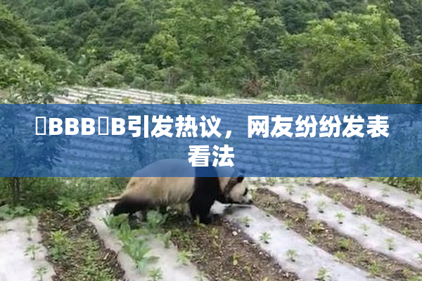 嫰BBB槡B引发热议，网友纷纷发表看法