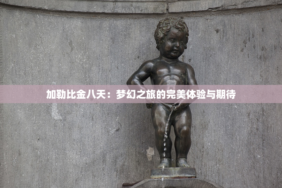 加勒比金八天：梦幻之旅的完美体验与期待