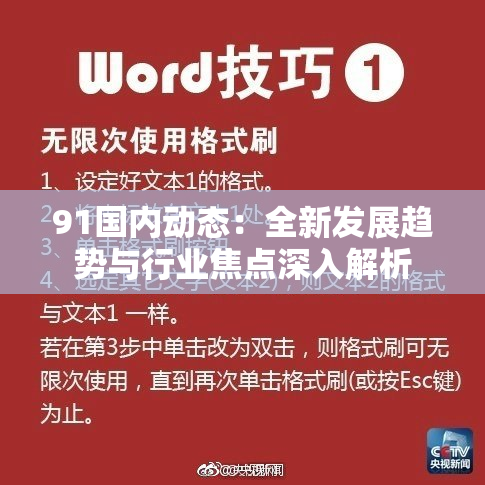 91国内动态：全新发展趋势与行业焦点深入解析