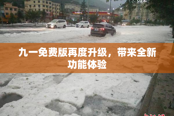 九一免费版再度升级，带来全新功能体验