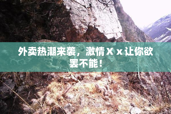 外卖热潮来袭，激情Ⅹⅹ让你欲罢不能！