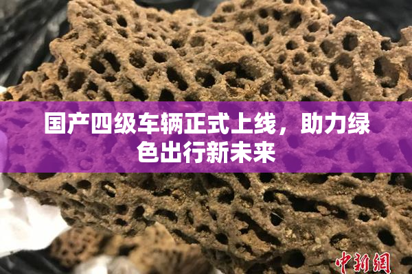 国产四级车辆正式上线，助力绿色出行新未来