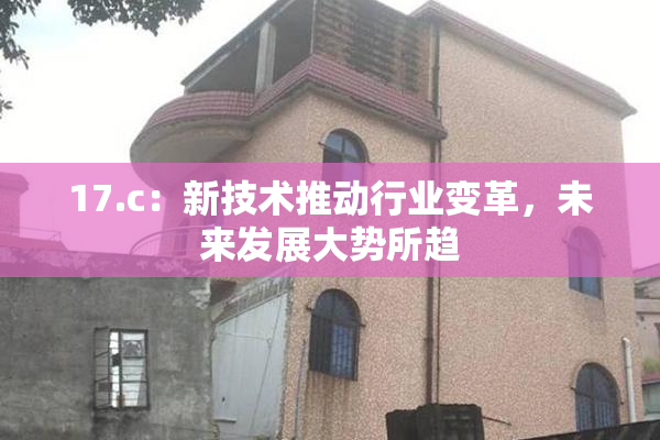 17.c：新技术推动行业变革，未来发展大势所趋