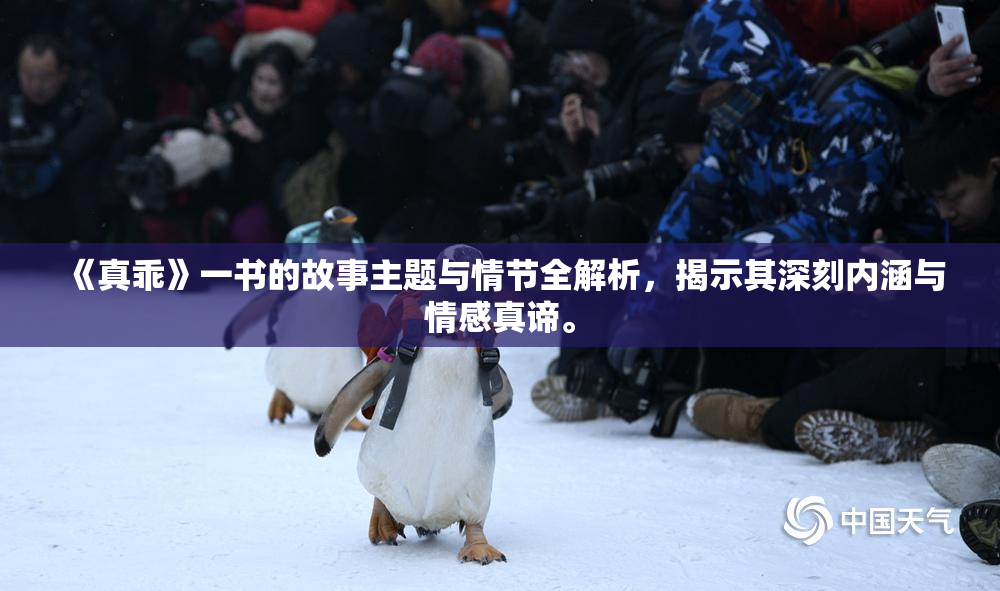 《真乖》一书的故事主题与情节全解析，揭示其深刻内涵与情感真谛。