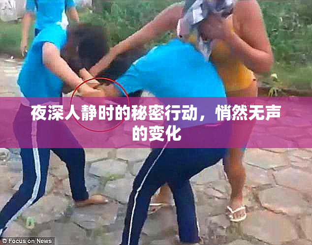 夜深人静时的秘密行动，悄然无声的变化
