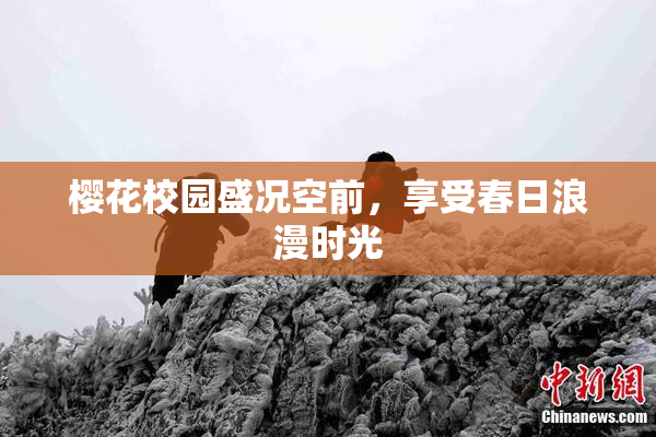 樱花校园盛况空前，享受春日浪漫时光