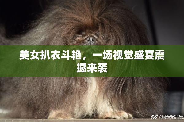 美女扒衣斗艳，一场视觉盛宴震撼来袭