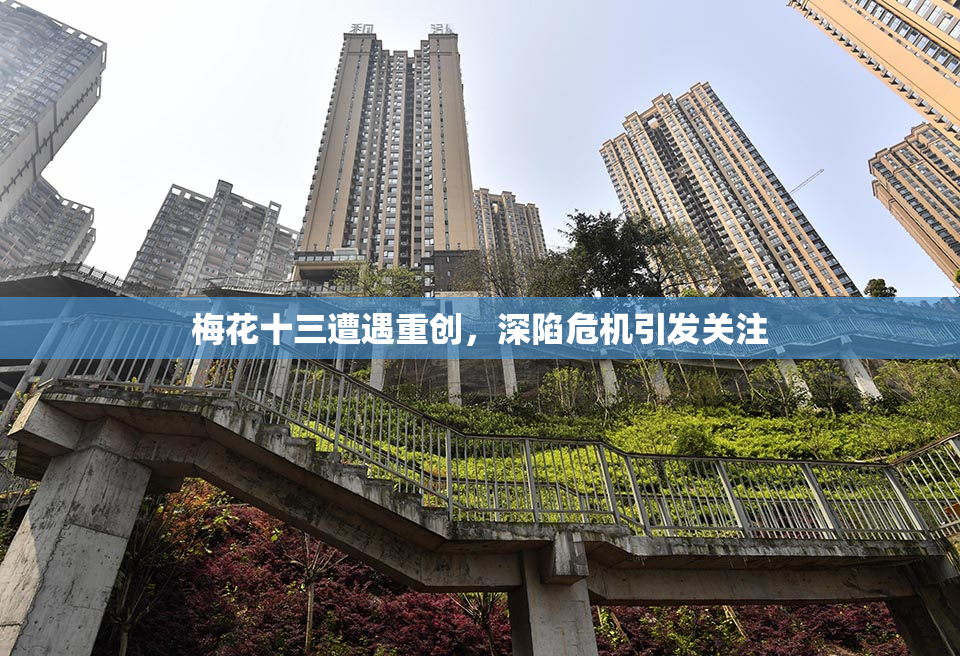 梅花十三遭遇重创，深陷危机引发关注