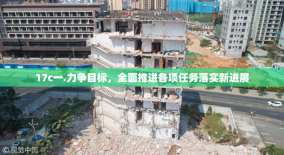 17c一.力争目标，全面推进各项任务落实新进展