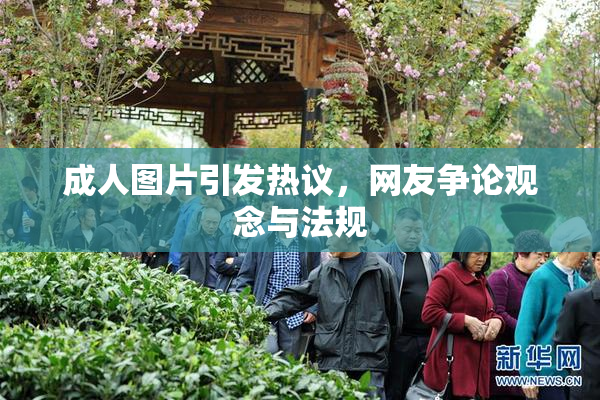 成人图片引发热议，网友争论观念与法规