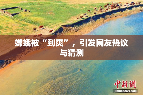 嫦娥被“到爽”，引发网友热议与猜测