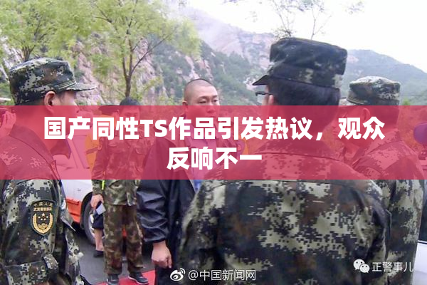国产同性TS作品引发热议，观众反响不一