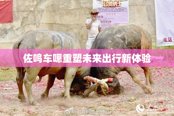 佐鸣车嗯重塑未来出行新体验